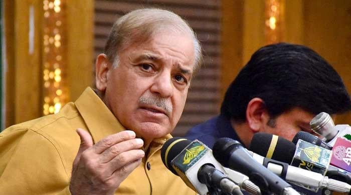 PM Shebaz Slams Imran Khan S Vicious Role In Damaging Foreign Relations