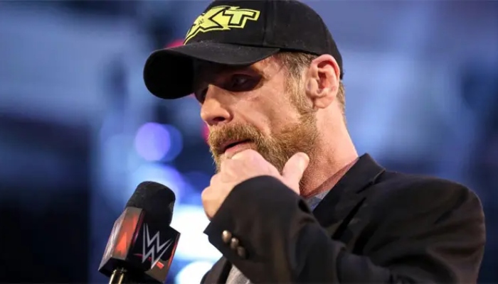 What Does Shawn Michaels Think About Wwe