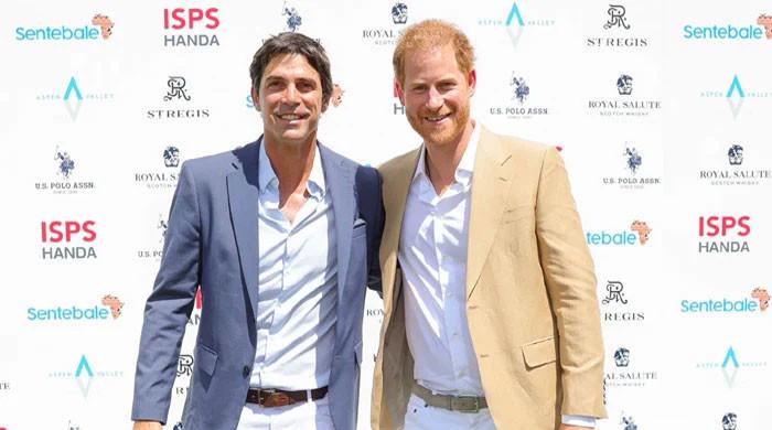 Le Cher Ami Du Prince Harry Brise Le Silence Sur Sa Collaboration