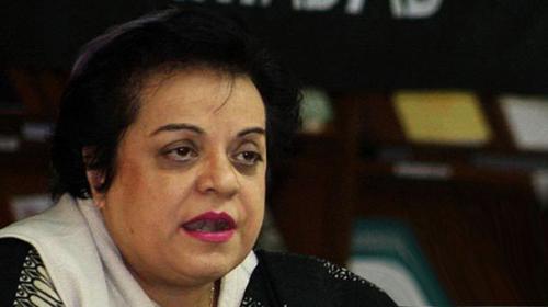 PTI to hold intra-party polls soon: Shireen Mazari