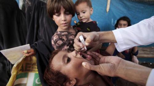 Polio refusals decrease in Dera Ismail Khan 