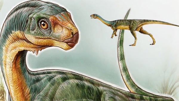 vegetarian long neck dinosaur