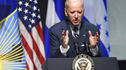 US weapons ‘expedited’ to Iraq amid IS advance: Biden