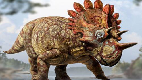 Unusual horned dino unearthed in Canada