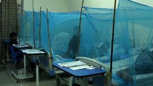 46 more dengue cases reported in Rawalpindi 