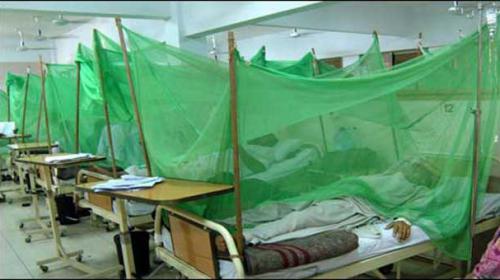 Dengue claims another life in Multan