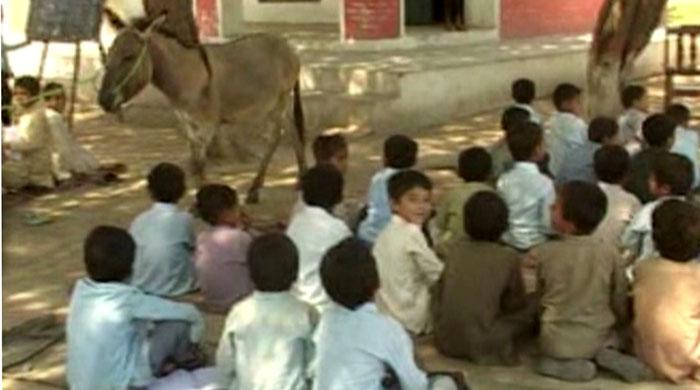 Students at public school in Jhang forced to share space with donkeys