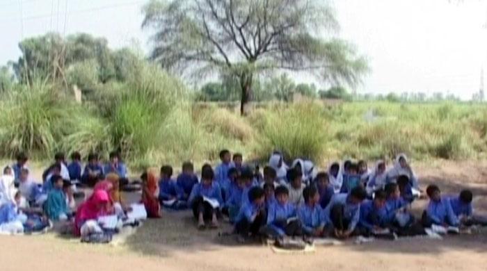 Students forced to study in fields as school building absent in Sargodha village