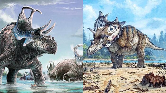 Dinosaur duo sported exotic spikes and horns