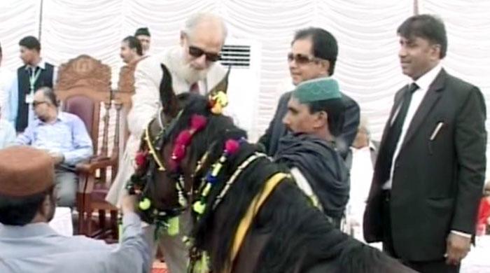 Larkana Bar Council surprises CJ with unusual present- a goat and a horse