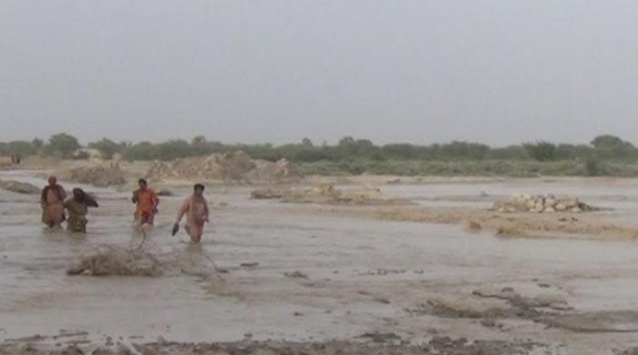 Seven vehicles swept away in Chitral flooding