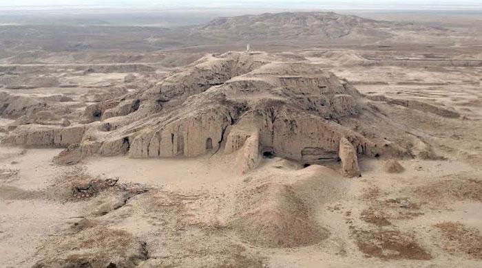 Iraq marshlands named UNESCO world heritage site