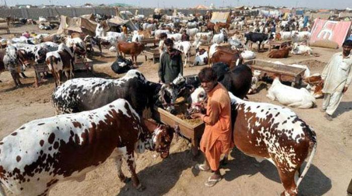 Govt announces Eidul Azha holidays