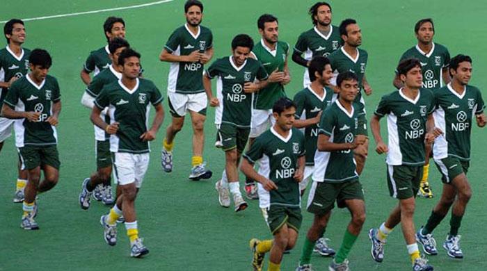 PHF to arrange jobs for national hockey players