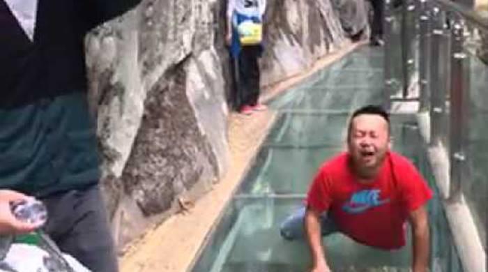 Watch the hilarious reactions of terrified tourists dragged across ...