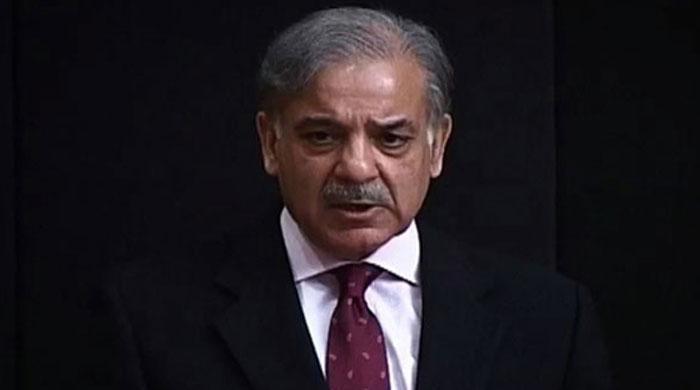 Shehbaz Sharif says protestors are dividing nation