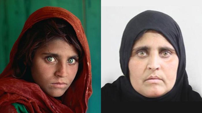 Nat Geos ‘afghan Girl Sharbat Gula To Be Deported From Pakistan 6029