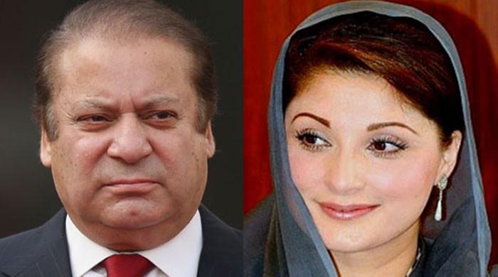 No discrepancies in tax returns of Nawaz, Maryam: Ferguson