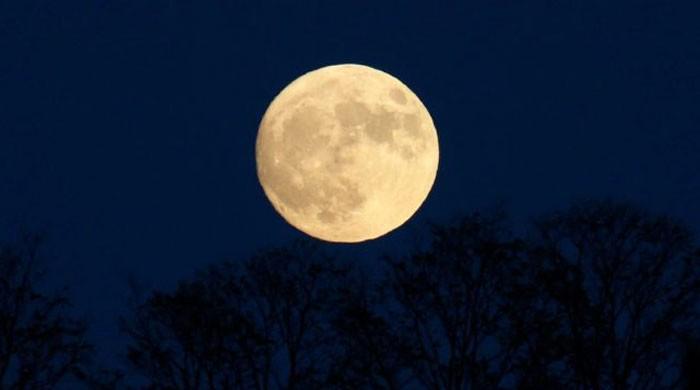 Skygazers gawp at extra bright ´supermoon´