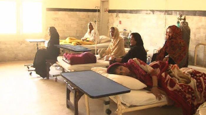 Three Chikungunya cases confirmed in Karachi
