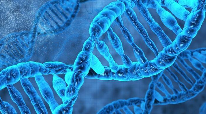 US scientists breed life form with lab-made DNA