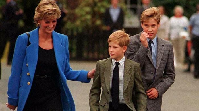 William and Harry to build statue to honour Princess Diana