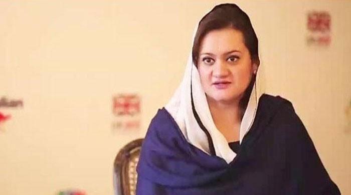 News channels were suspended in national interest: Marriyum Aurangzeb