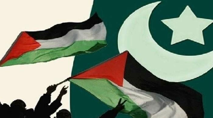 Palestine Solidarity Day being observed in Pakistan - Wired News