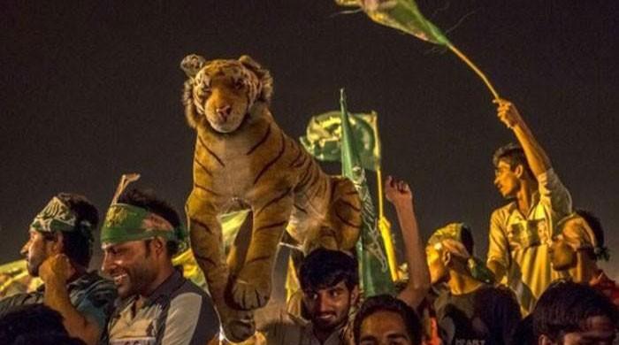 Lahore Votes For Pml N In By Election