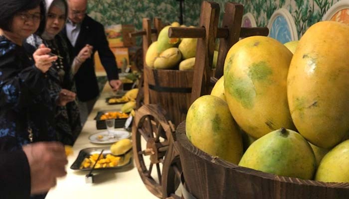 King of fruits' delights Dubai residents at 'Pakistan Mango Festival'