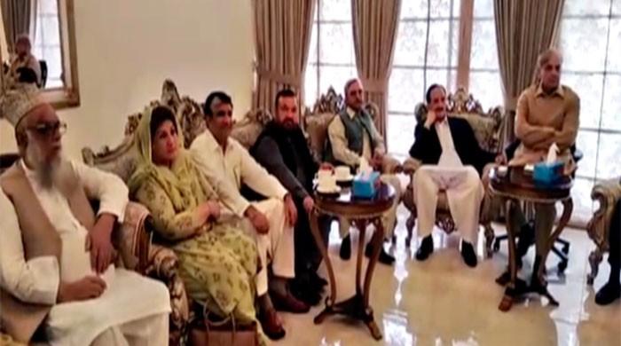 Shehbaz Sharif Vows Strict Action Against Senators Who ‘sold Their ...