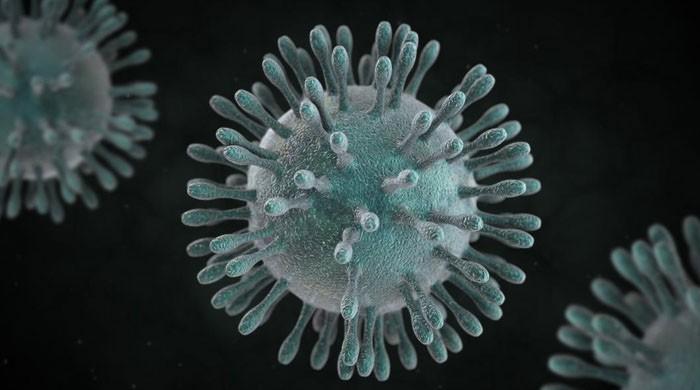 Two more cases of coronavirus emerge in Pakistan