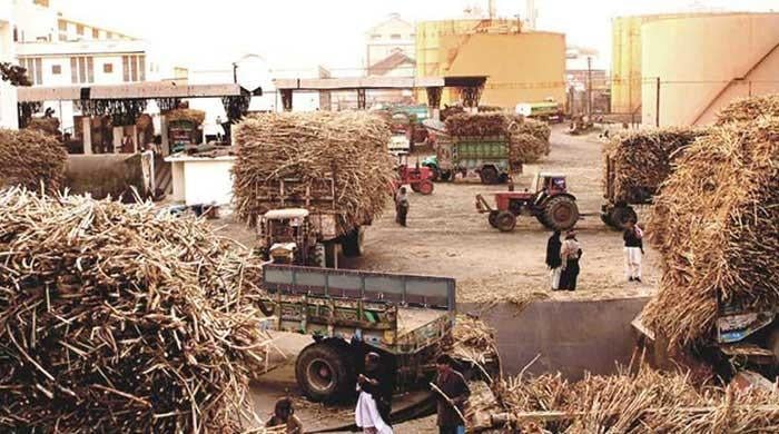 24 Sugar Mills Got Nearly Rs12 Billion In Subsidies In 2017 And 2019 ...