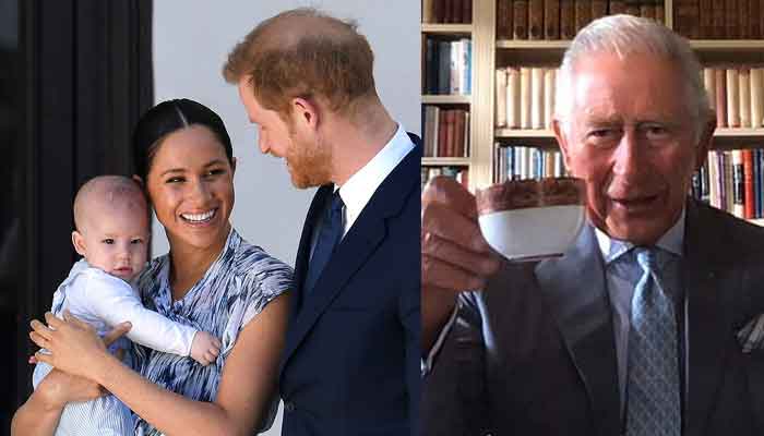 Archie delights Prince Charles and other royals during a Zoom call