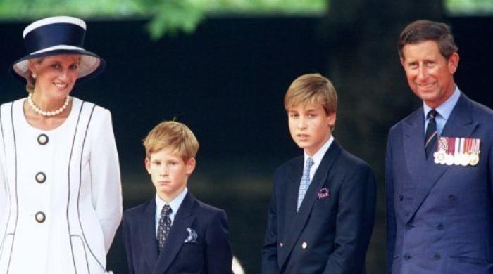 Prince Harry, William learnt about love through Charles, Diana's failed ...