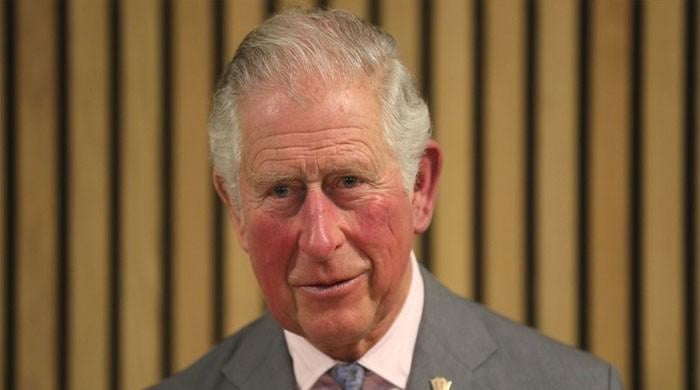 Prince Charles Recalls ‘bone Chilling’ Windsor Castle Fire Devastation