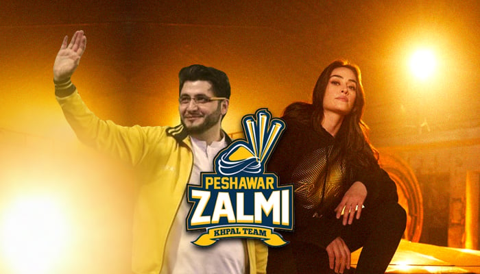 How Can Fans Be Shareholder Of Peshawar Zalmi?