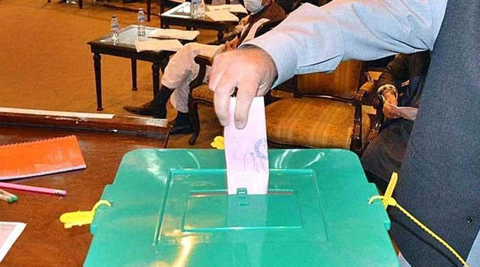 What is the procedure of stamping a ballot paper in Senate elections?