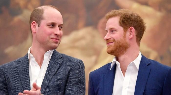 Prince Harry, Prince William Speak For First Time Since Explosive Interview