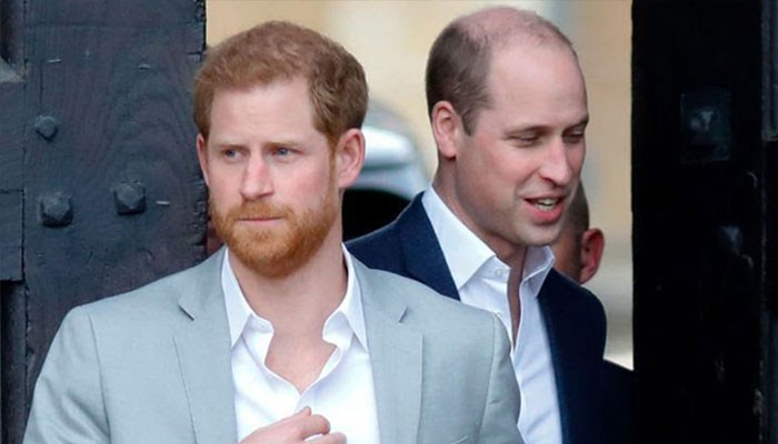 Prince Harry lambasted for 'sad, pathetic' squabble hindering Prince ...