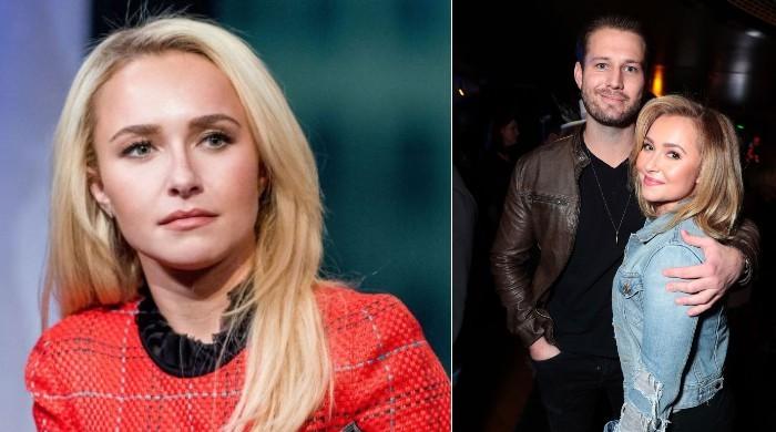 Hayden Panettieres Ex Sentenced To 45 Days Behind Bars For Domestic Violence 3241