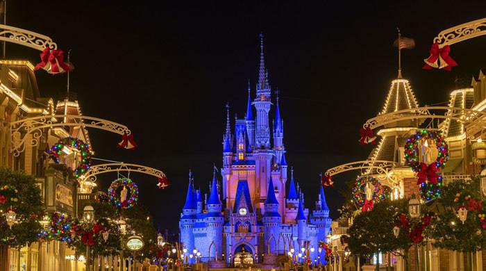 Disney World has no mosquitoes, reveals a TikToker