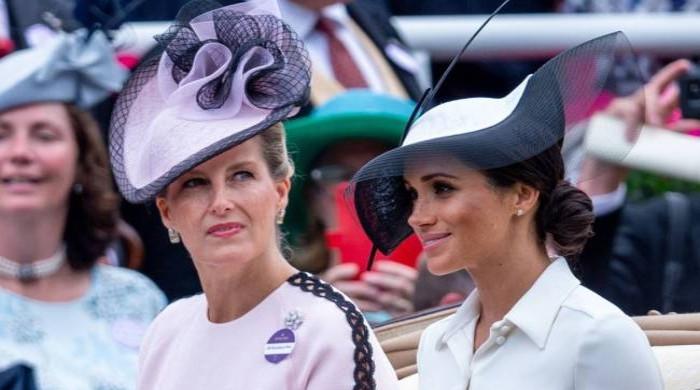 Meghan Snubbed Sophie Wessex When She Offered To Help Her Amid Royal Fiasco