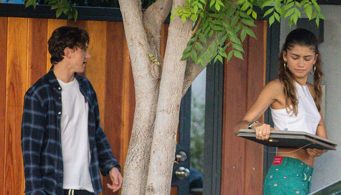 Zendaya and Tom Holland confirm relationship with PDA-filled outing