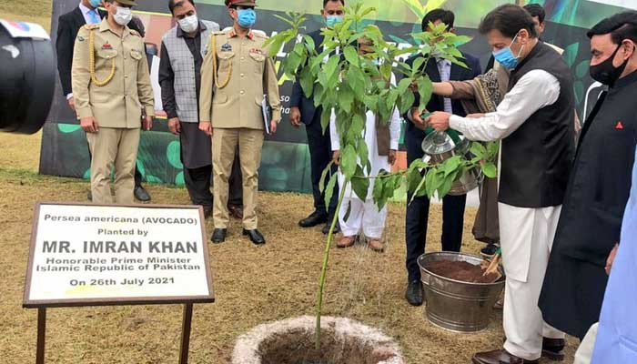 وزیر اعظم عمران خان نے مون سون پودے لگانے کی مہم کا آغاز کیا