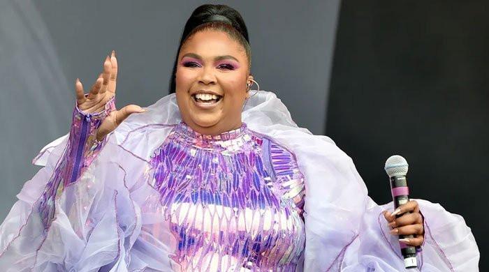 Did Lizzo kill a fan by stage diving?