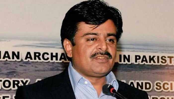 Sindh Education Minister Sardar Shah. File photo