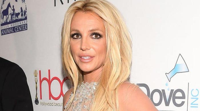 Britney Spears called 911 to report theft but strangely did not file report