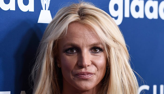 Britney Spears reunited with sick dogs which dog sitter took to care for