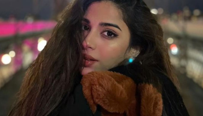 Sonya Hussyn rejects LSA 21 nominations: Ive been silent for 7 years